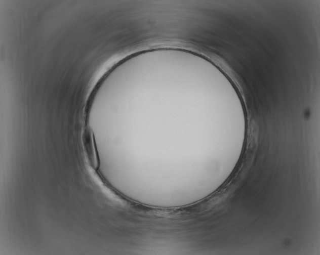 X0000116561005200912311928