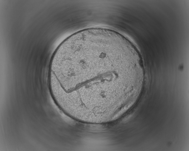 X0000116561007200912311928