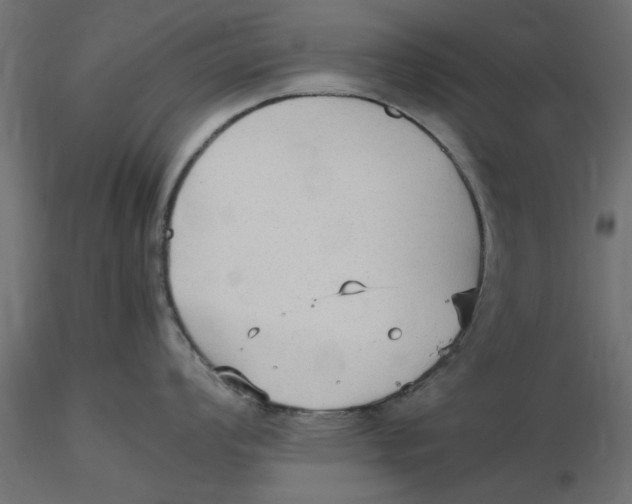 X0000116561008200912311928