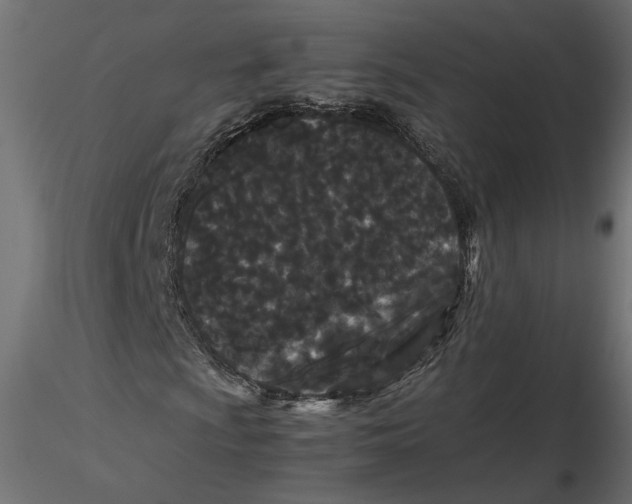 X0000116561009200912311928