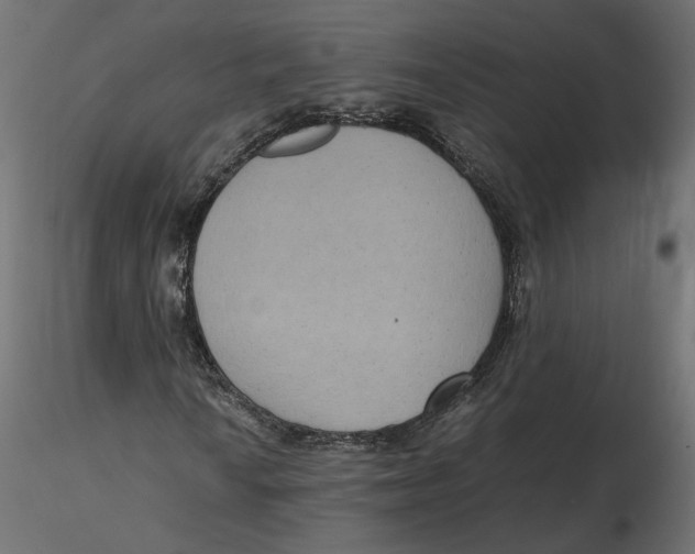 X0000116561010200912311928