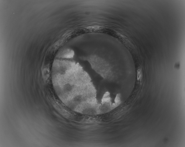 X0000116561011200912311928