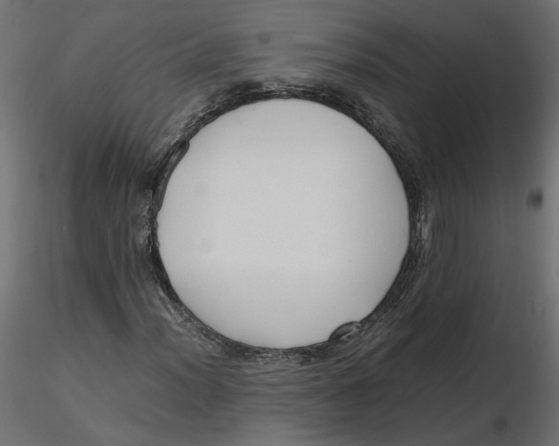 X0000116561012200912311928