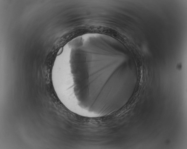 X0000116561013200912311928