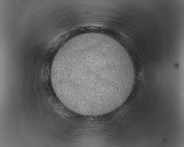 X0000116561014200912311928