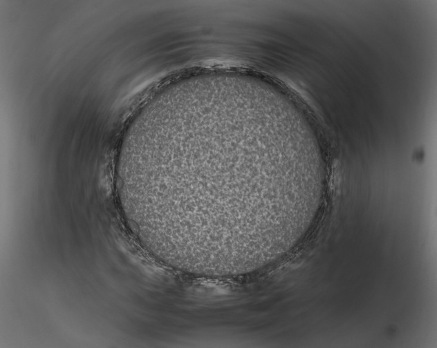 X0000116561015200912311928