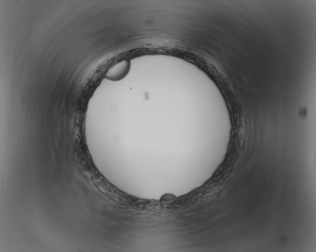 X0000116561016200912311928