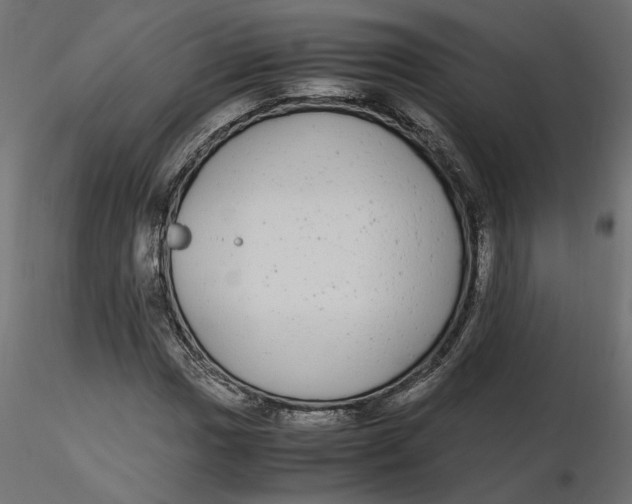 X0000116561017200912311928