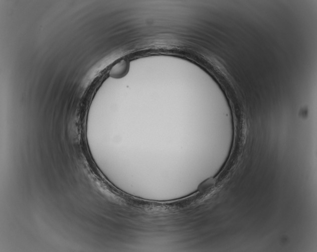 X0000116561018200912311928