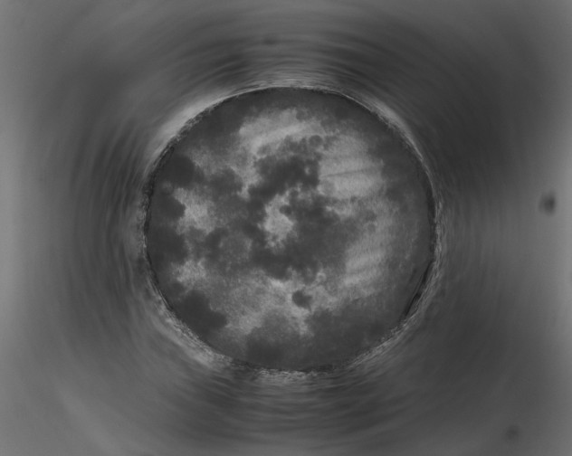 X0000116561019200912311928