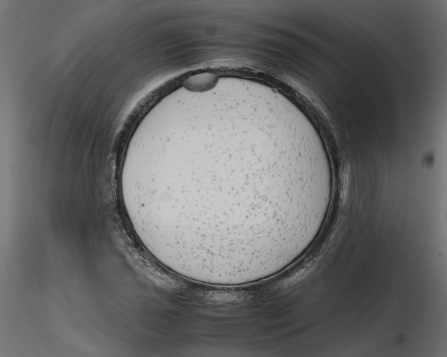 X0000116561021200912311928