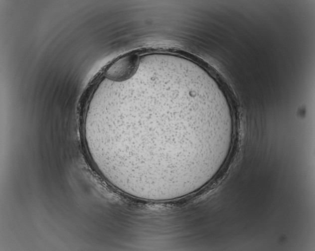 X0000116561022200912311928