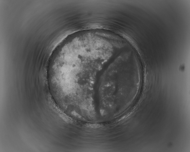 X0000116561023200912311928