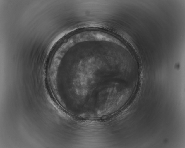 X0000116561024200912311928