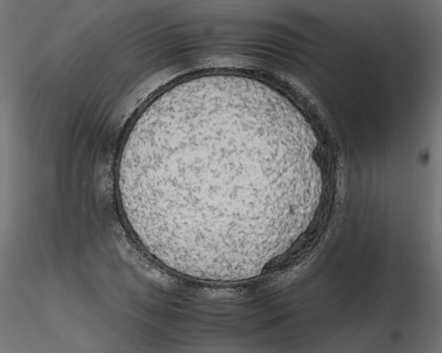 X0000116561025200912311928