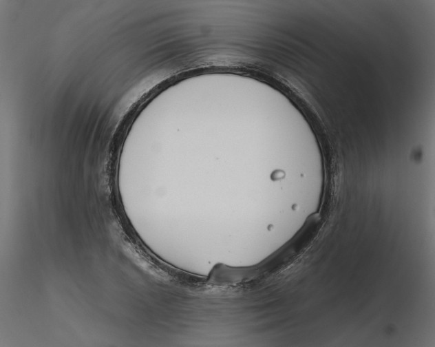 X0000116561026200912311928