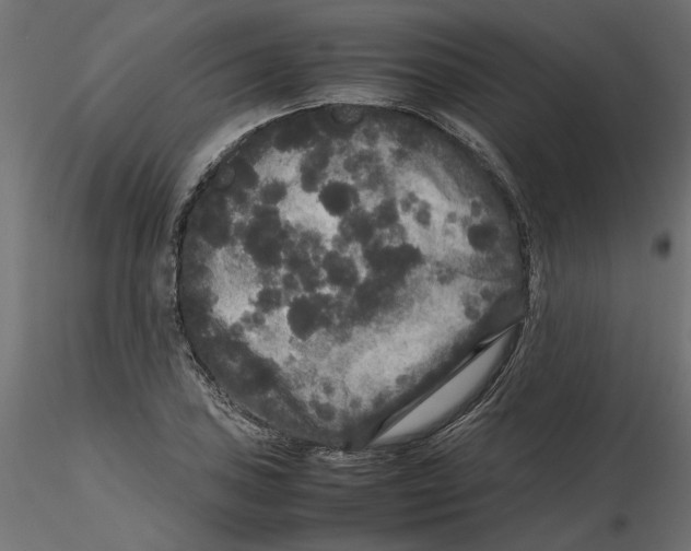 X0000116561027200912311928