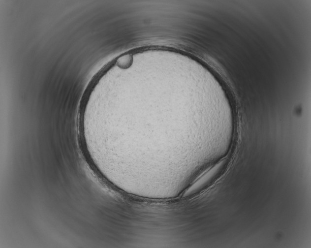 X0000116561028200912311928