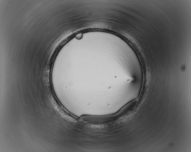 X0000116561029200912311928