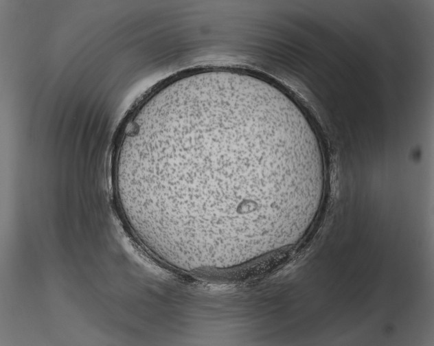 X0000116561030200912311928