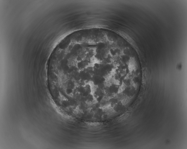 X0000116561031200912311928