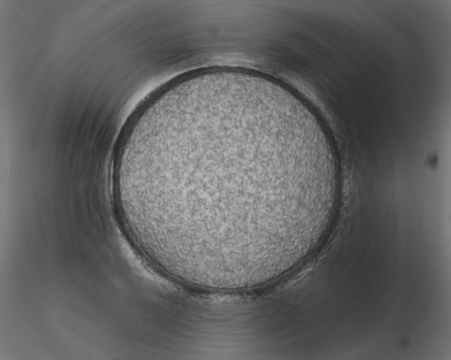 X0000116561032200912311928