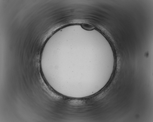 X0000116561033200912311928