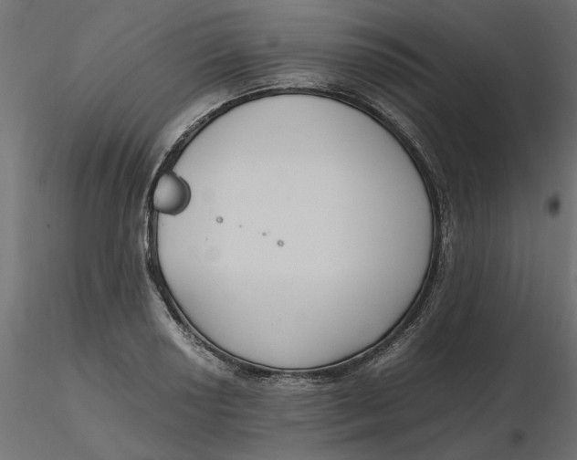 X0000116561034200912311928