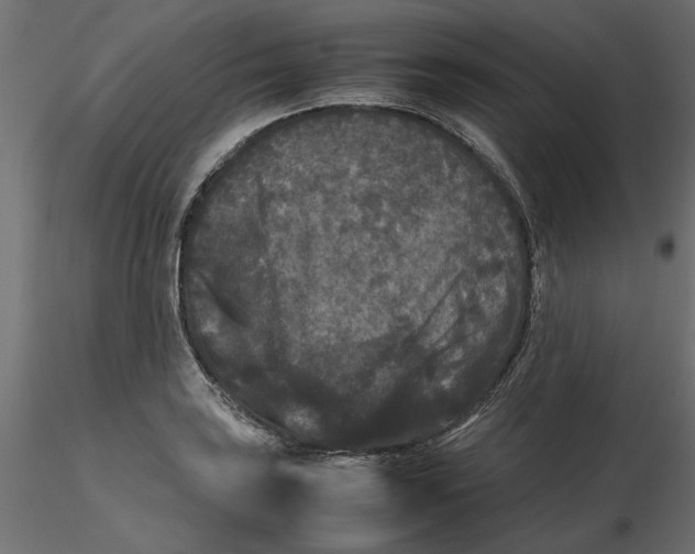 X0000116561035200912311928