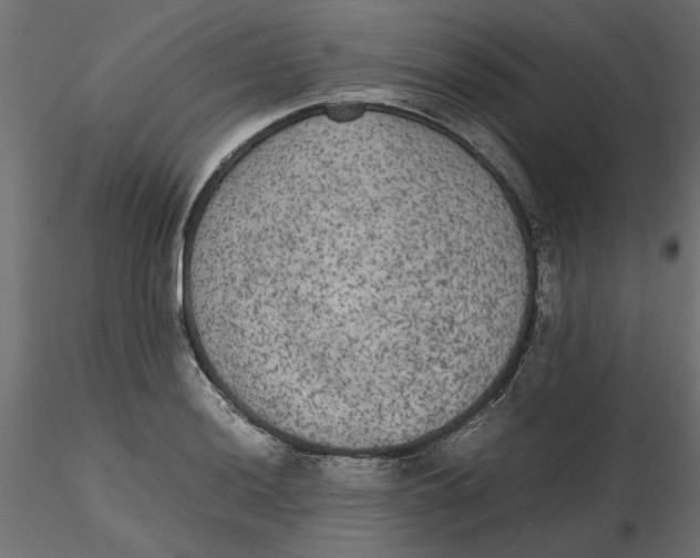 X0000116561036200912311928