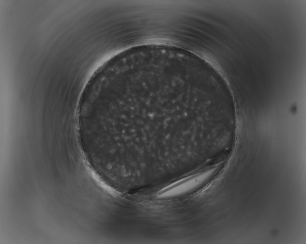 X0000116561037200912311928