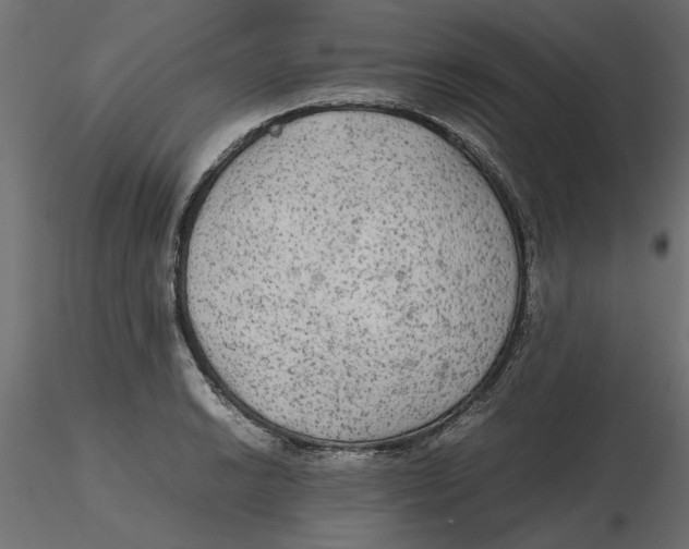 X0000116561038200912311928