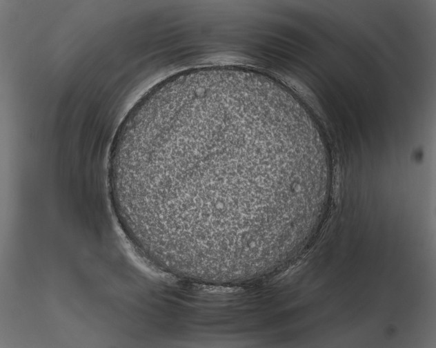 X0000116561039200912311928