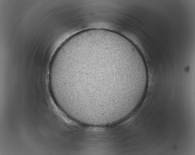 X0000116561040200912311928