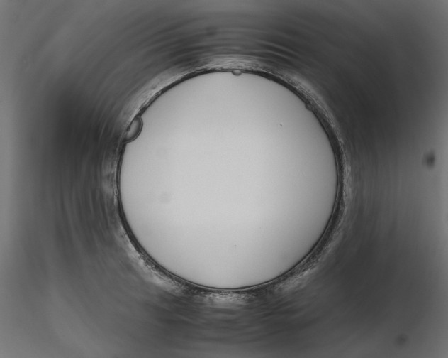 X0000116561041200912311928