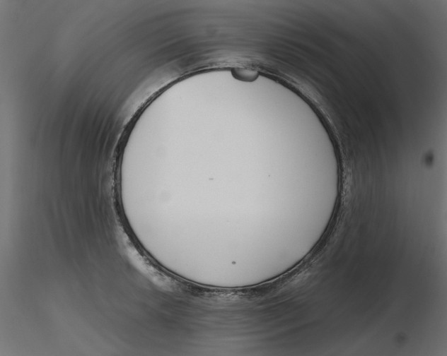 X0000116561042200912311928