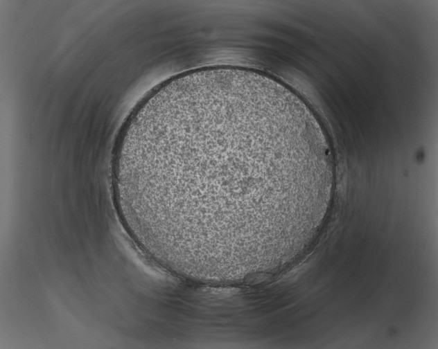 X0000116561043200912311928