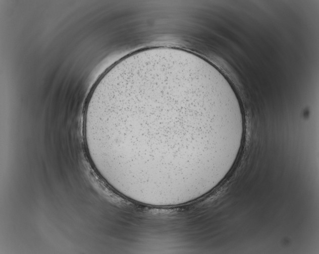 X0000116561044200912311928