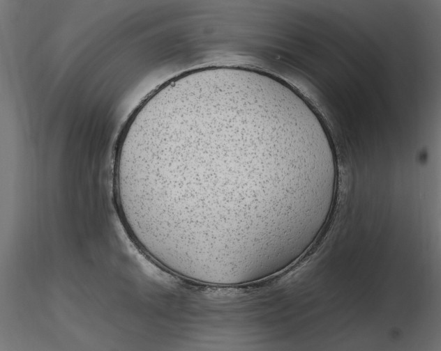 X0000116561046200912311928