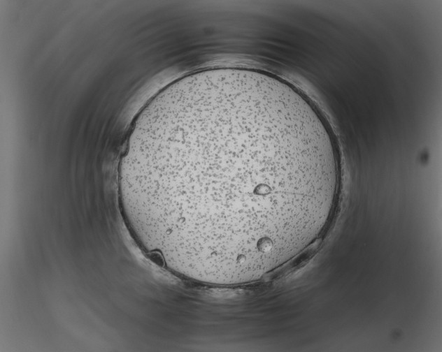 X0000116561049200912311928