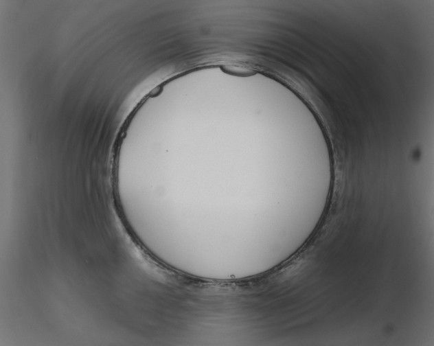 X0000116561050200912311928