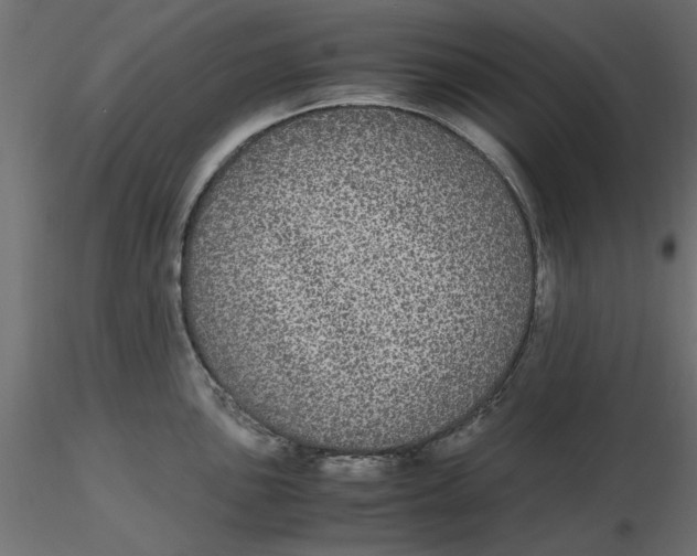 X0000116561051200912311928