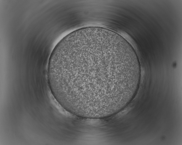 X0000116561052200912311928