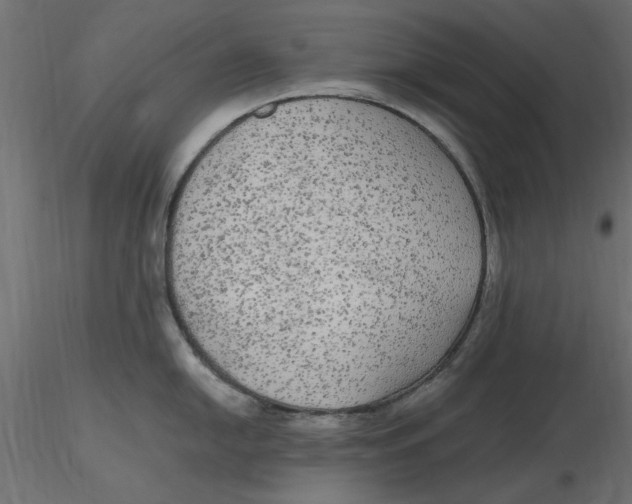 X0000116561054200912311928