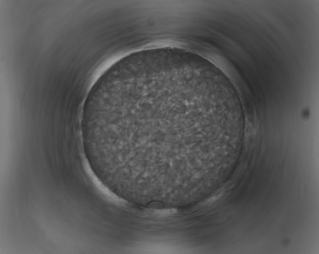 X0000116561055200912311928