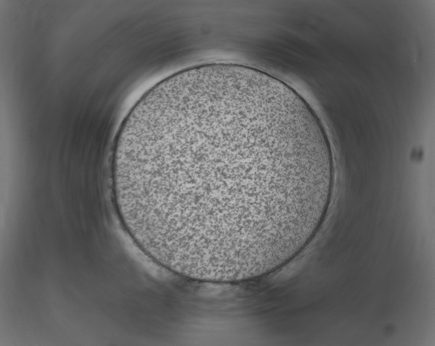 X0000116561056200912311928