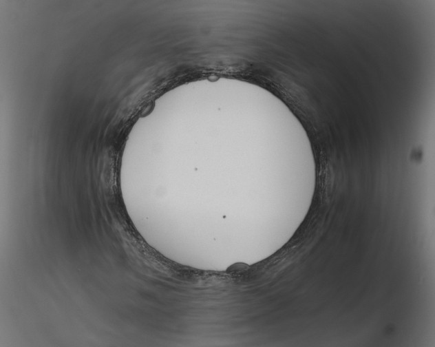 X0000116561058200912311928