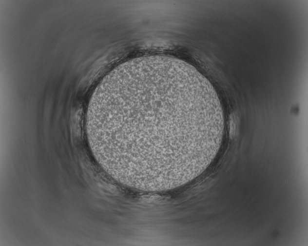 X0000116561059200912311928