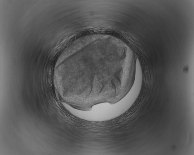 X0000116561060200912311928