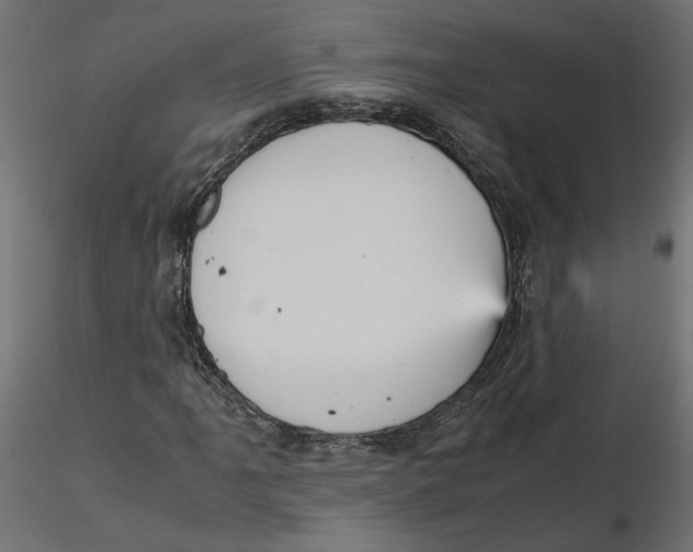 X0000116561061200912311928